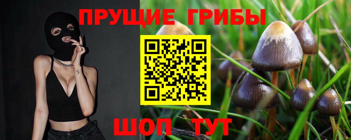 Верхняя Салда  Галлюциногенные грибы мицелий  Вход с VPN  Галлюциногенные грибы Psilocybe 